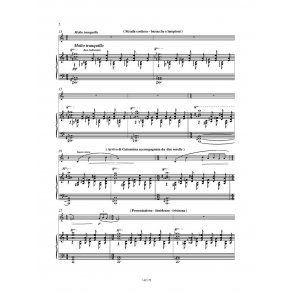La strada : I: Strada costiera, baracche e lampioni (Rielaborazione per fIauto e pianoforte di C. Tabarelli)